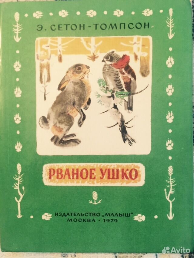 Рваное ушко сетон. Рваное ушко Сетон Томпсон. Сетон-Томпсон рваное ушко иллюстрации. Рваное ушко книга.