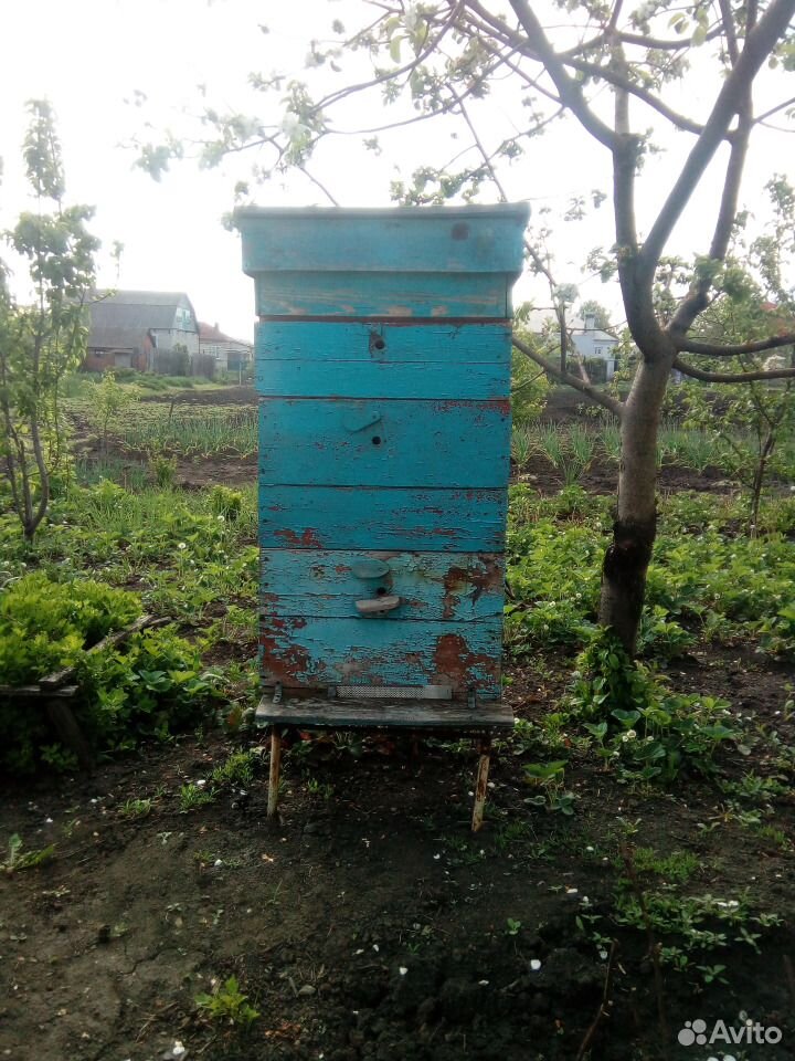 Улей для пчёл + сушь купить на Зозу.ру - фотография № 2