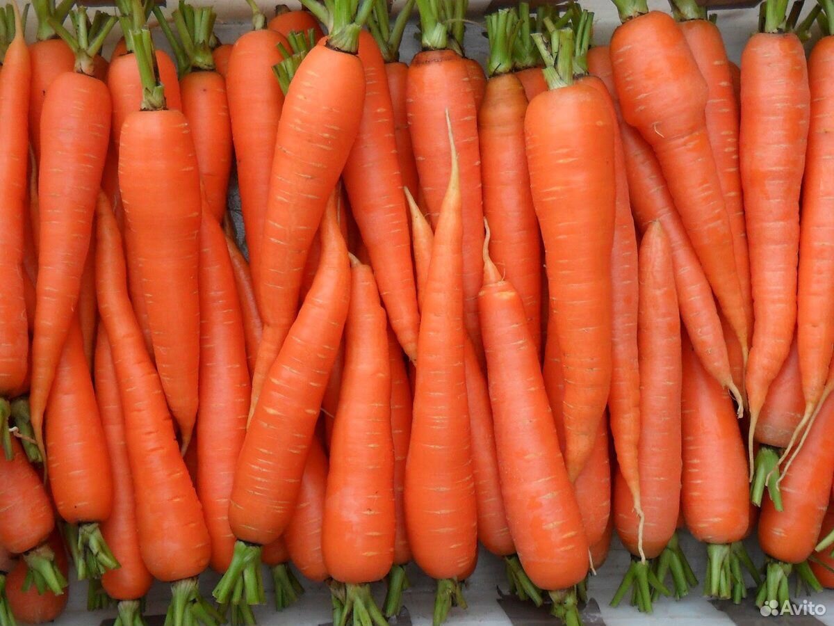 Морковь с доставкой купить на Зозу.ру - фотография № 1