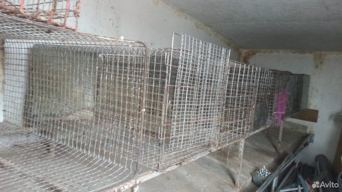 Клетки для кроликов 30 шт купить на Зозу.ру - фотография № 3