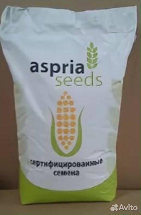 Семена Кукурузы (Гибриды ) купить на Зозу.ру - фотография № 3