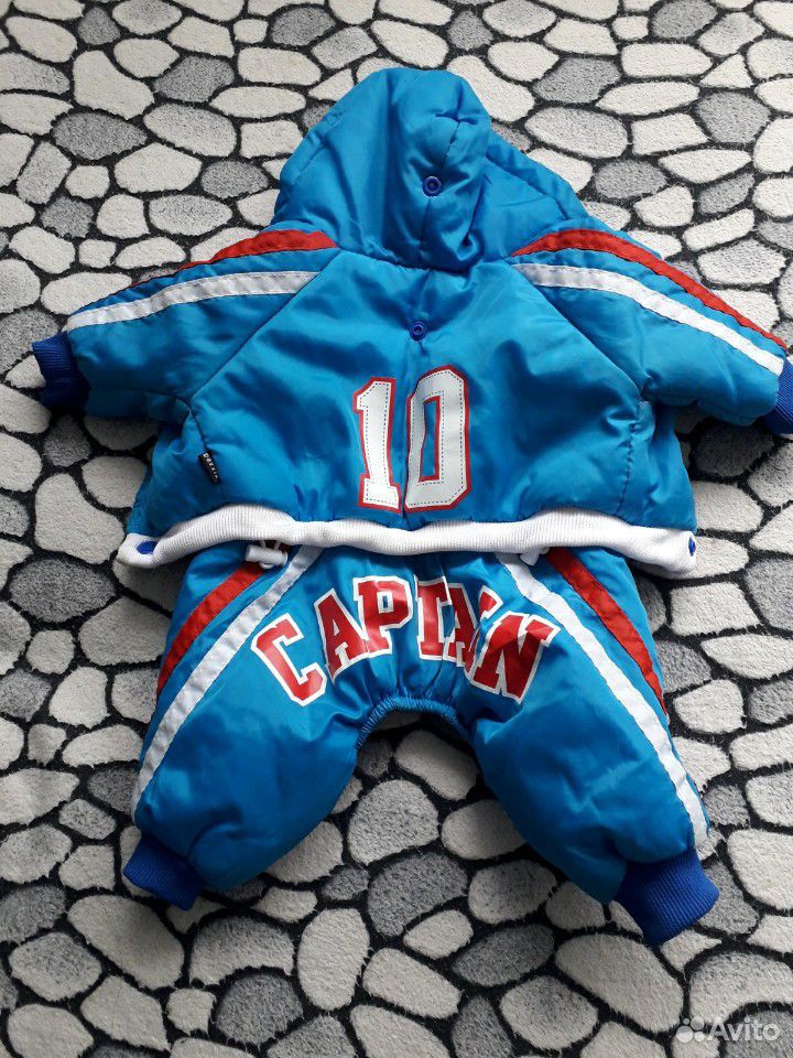 Комбинизон и куртка для той-терьера мини купить на Зозу.ру - фотография № 1