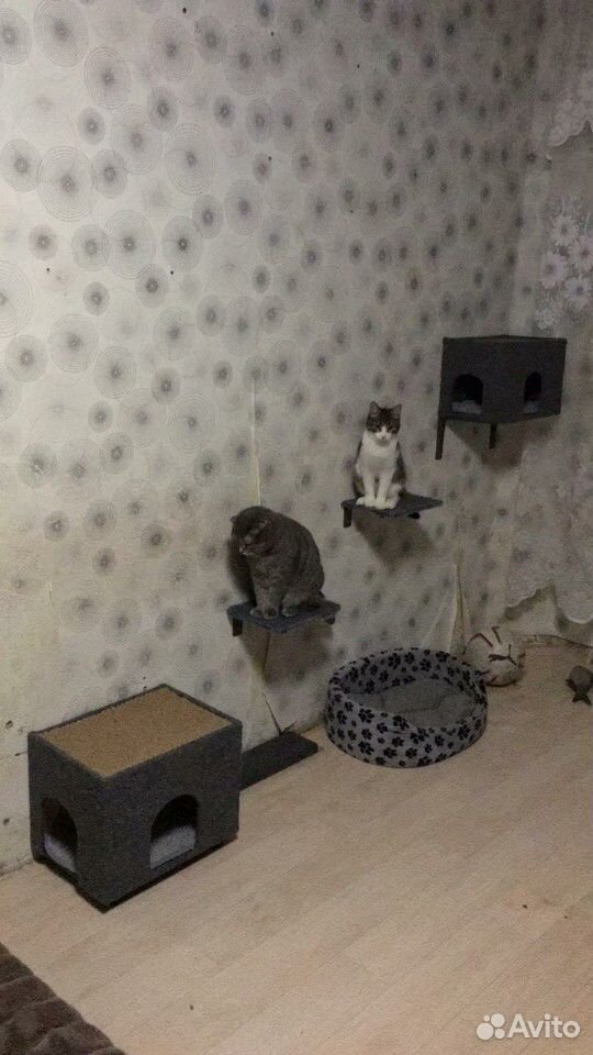 Настенный домик для кошки купить на Зозу.ру - фотография № 4
