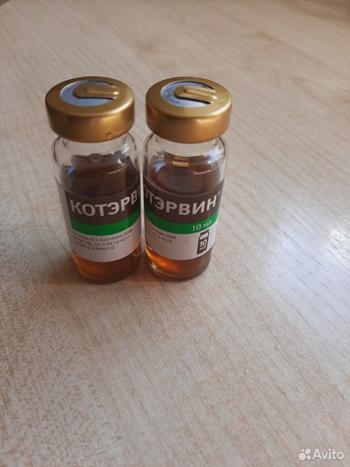 Купить котэрвин для кошек