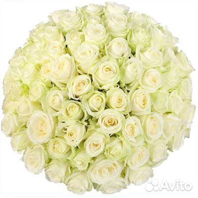 Букет из 75 белых роз.Доставка купить на Зозу.ру - фотография № 3