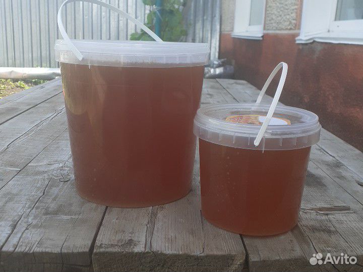 Продаю весенний мёд купить на Зозу.ру - фотография № 2
