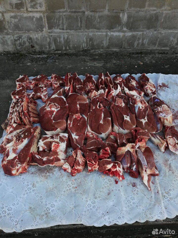 Мясо говядина и телятина купить на Зозу.ру - фотография № 7