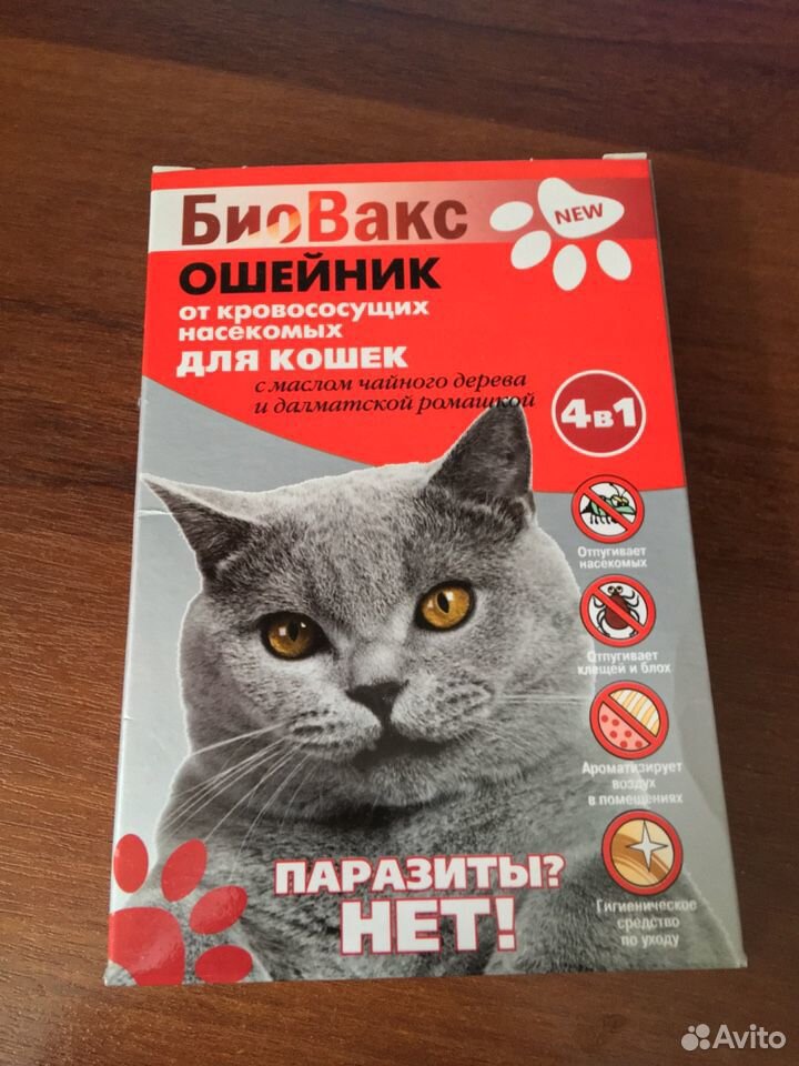 Ошейник для кошки купить на Зозу.ру - фотография № 1