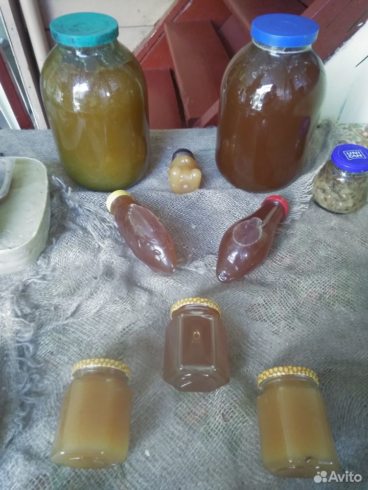 Продаем мед купить на Зозу.ру - фотография № 2