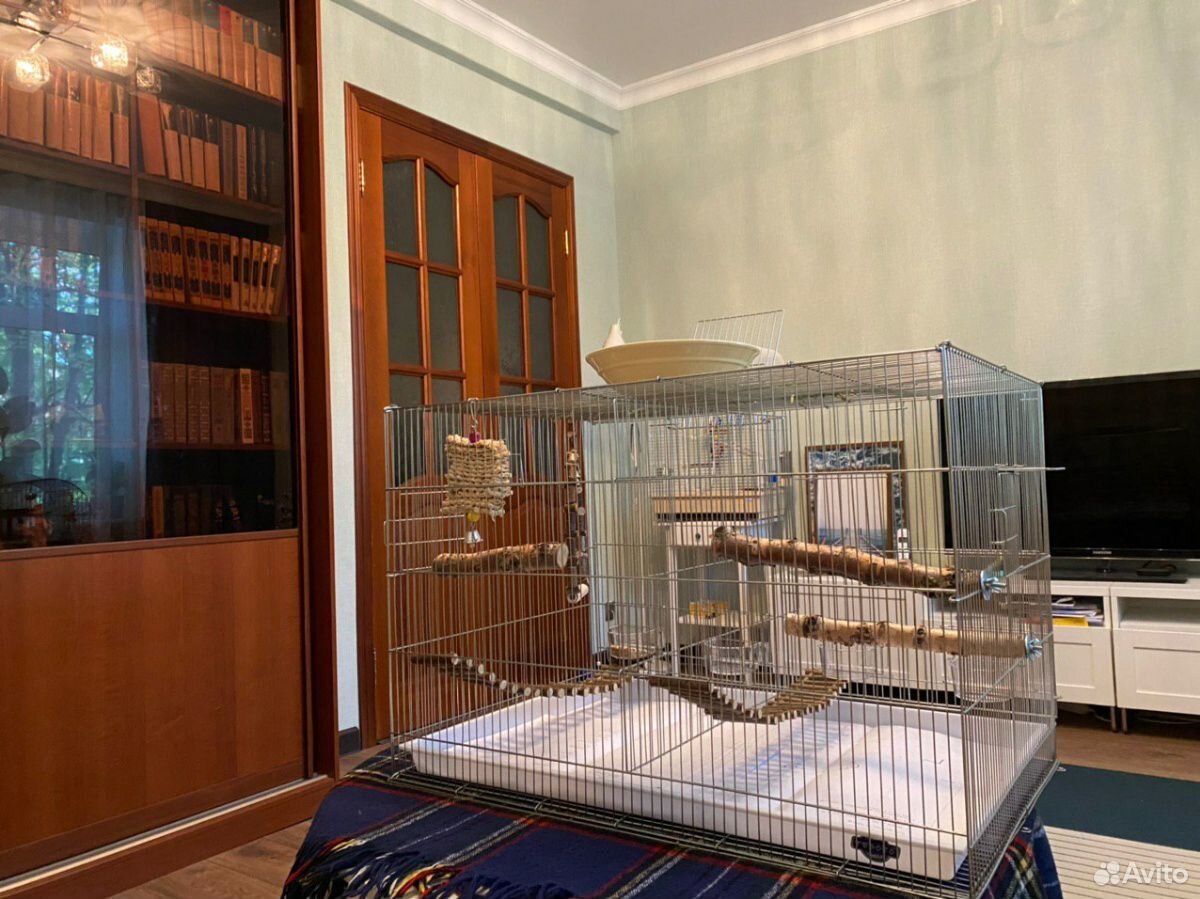 Двухкомнатная клетка для попугаев купить на Зозу.ру - фотография № 3