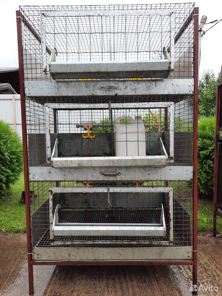 Продается мини-ферма для кур или кроликов купить на Зозу.ру - фотография № 3