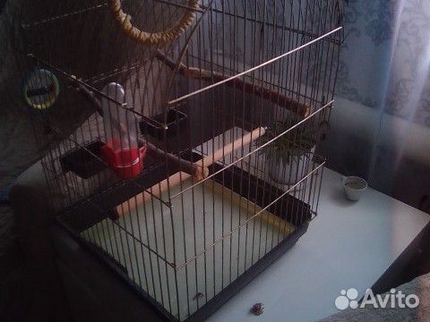 Большая клетка для попугаев купить на Зозу.ру - фотография № 1