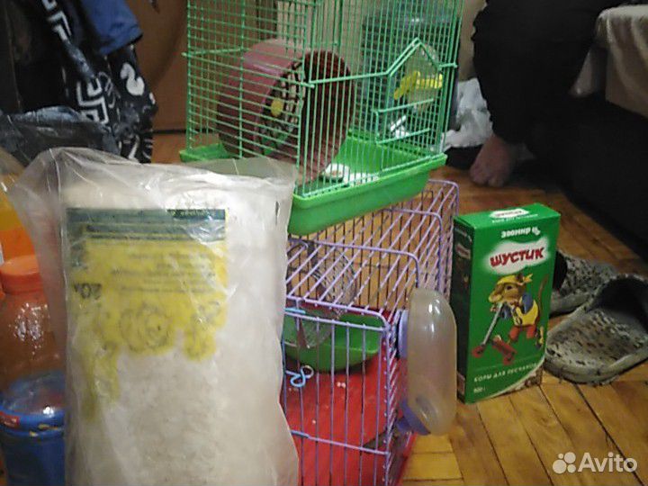 Клетка для грызунов + опилки с кормом купить на Зозу.ру - фотография № 2