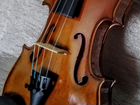 Скрипка Stentor Student 4/4 объявление продам