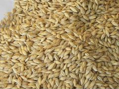 Пшеница ячмень просо и кукуруза