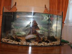 Продается аквариум с рыбками на 40 литров
