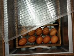 Инкубатор "Блиц" на 48 куриных яиц