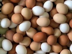 Яйцо куриное и перепелиное (домашнее)