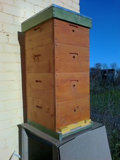 Пчелы, пчелопакеты, пчеломатки, ульи, рамки