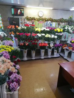 Действующий цветочный бизнес