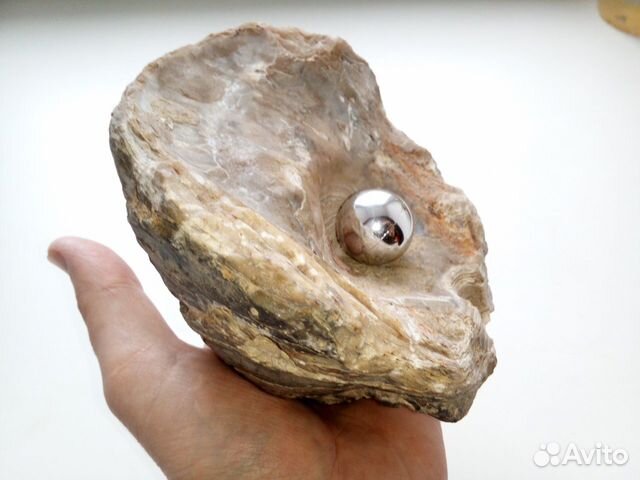 Окаменелая 