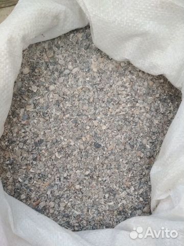 Ракушка морская кормовая серая