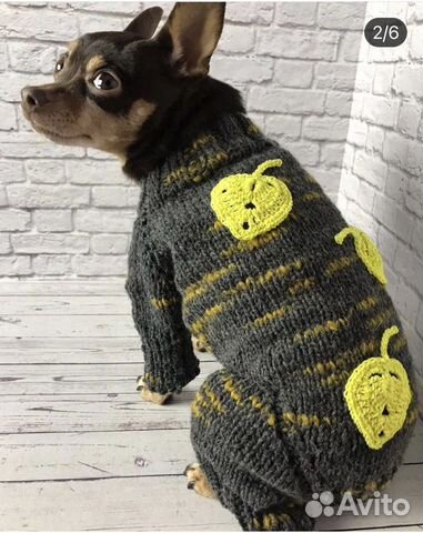 Одежда для Собак