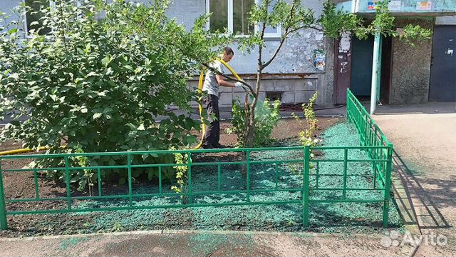 Посев газона методом гидропосева Посев газона методом гидропосева