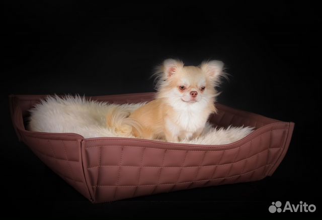 Лежанка корзина Irene Cradle для собак, кошек Лежанка корзина Irene Cradle для собак, кошек