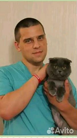 Ветеринар на дом Все виды услуг