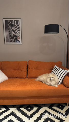 

1-к. квартира, 36,6 м², 2 кровати