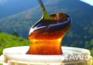 Мёд Таёжный Алтайский