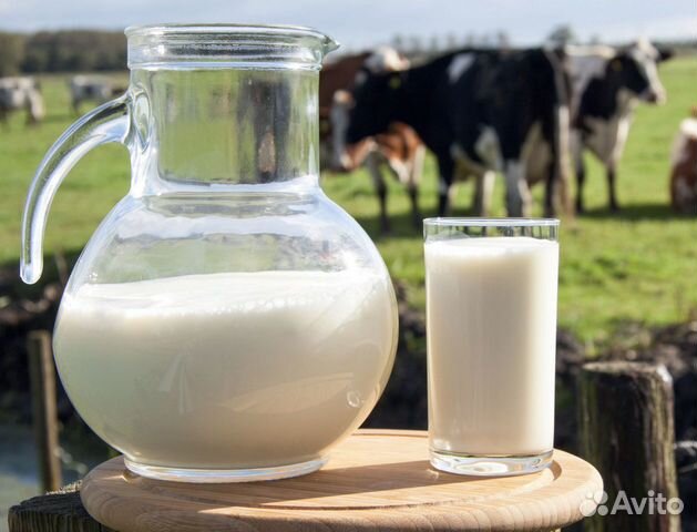 Молоко И молочные продукты