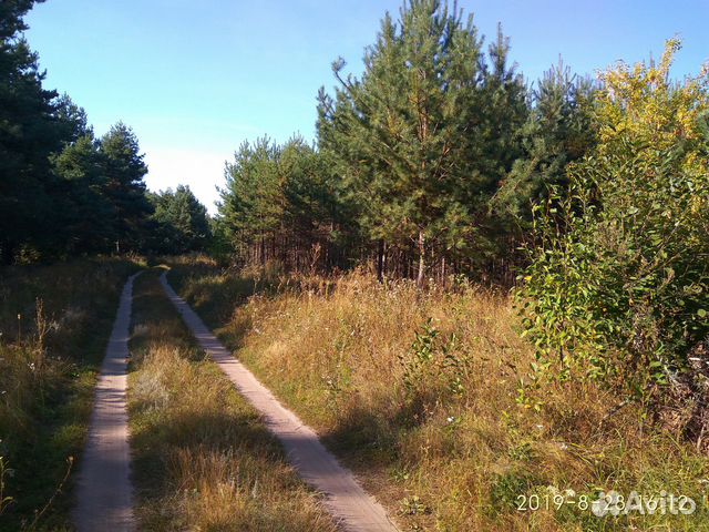 Дача 35 м² на участке 20 сот. Дача 35 м² на участке 20 сот.