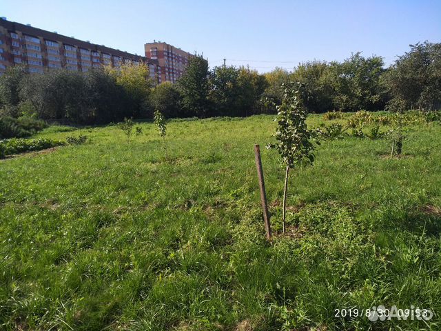 Участок 10 сот. (ИЖС) Участок 10 сот. (ИЖС)