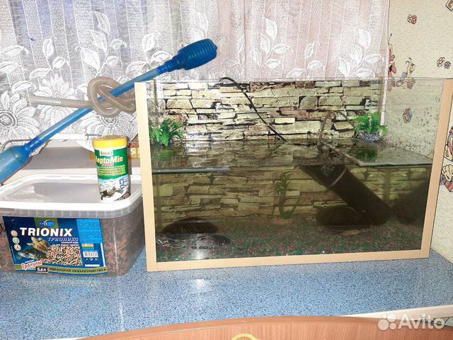 Продам аквариум (60л), 2-е красноухие черепахи