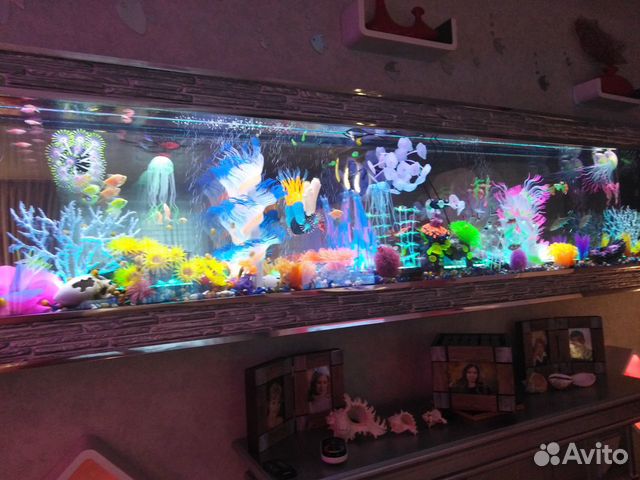 Настенный аквариум Himat 265х60х15 см купить на Зозу.ру - фотография № 1
