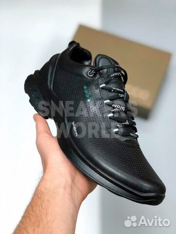 ecco biom m