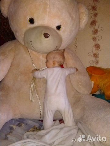 Плюшевый медведь