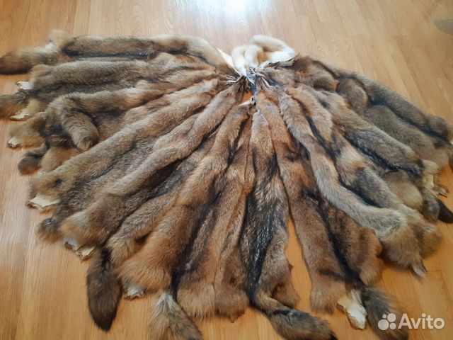 Шкуры волка
