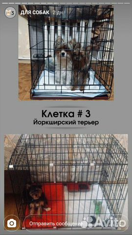 Металическая клетка для животных купить на Зозу.ру - фотография № 3