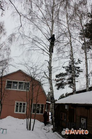 Кронирование, спил, удаление и валка деревьев