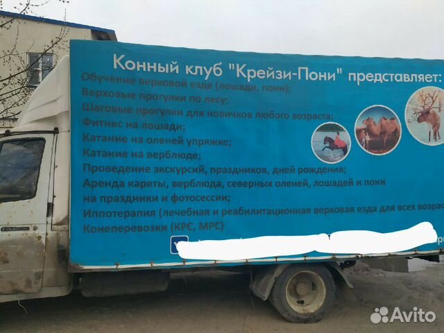 Скотовозки, коневозки, зоотакси