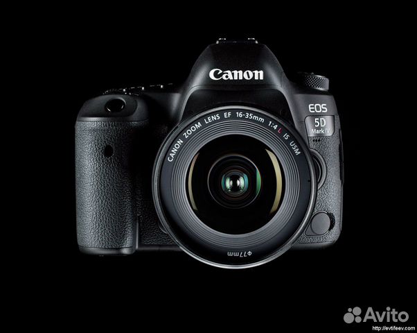 Canon 5D Mark IV, Canon R, Sony
