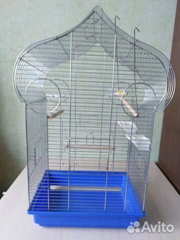 Клетка Клетка