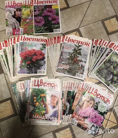 Журнал Цветок толока