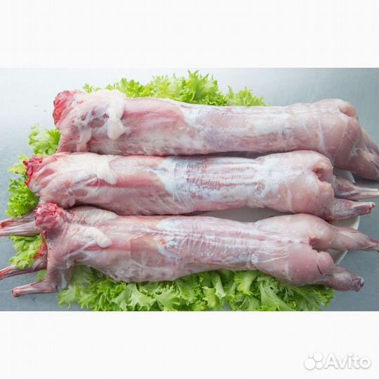 Мясо кролика