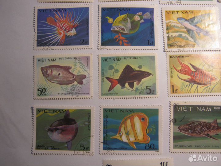 Серия марок Рыбы