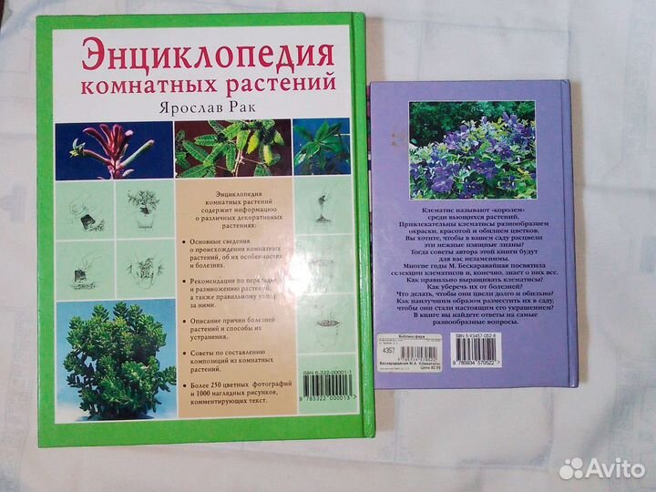 Энциклопедия комнатных растений