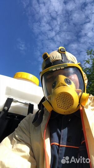 Уничтожение - клопы,тараканы,осы,муравьи